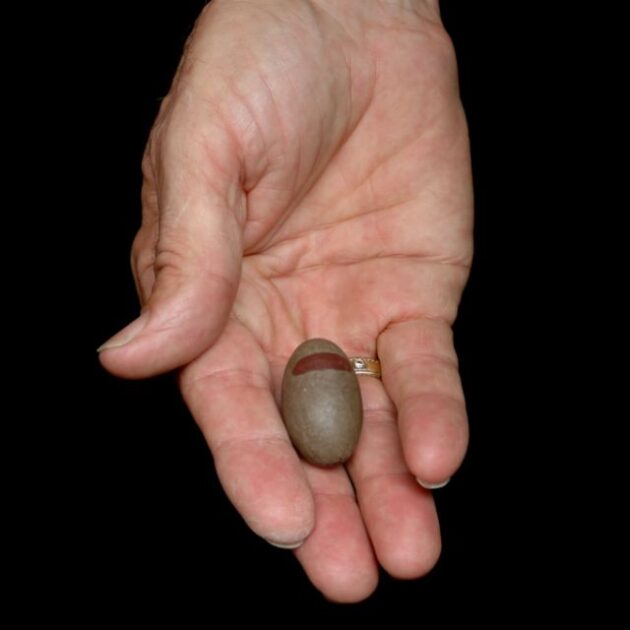 A perfect Tantric Shiva lingam stone.