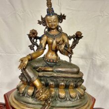 3135F310-8D0E-45D6-B8B4-968C4B704615_1_201_a