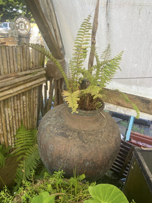 26C58861-5317-42C8-A1AD-F6BA83D92E37